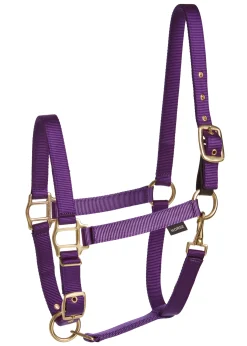 TEXT HORSE Suffolk™ Heavy Nylon Breakaway Halter with Fuse