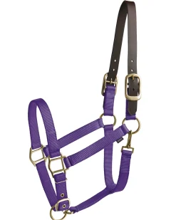 TEXT HORSE Suffolk™ Heavy Nylon Halter with Breakaway Crown