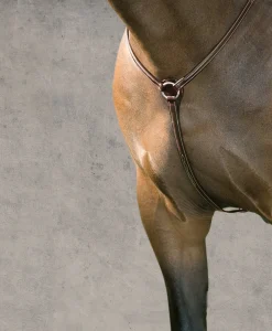 KINGS INTERNATIONAL Suffolk™ Hunter Breastplate