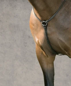 KINGS INTERNATIONAL Suffolk™ Hunter Breastplate