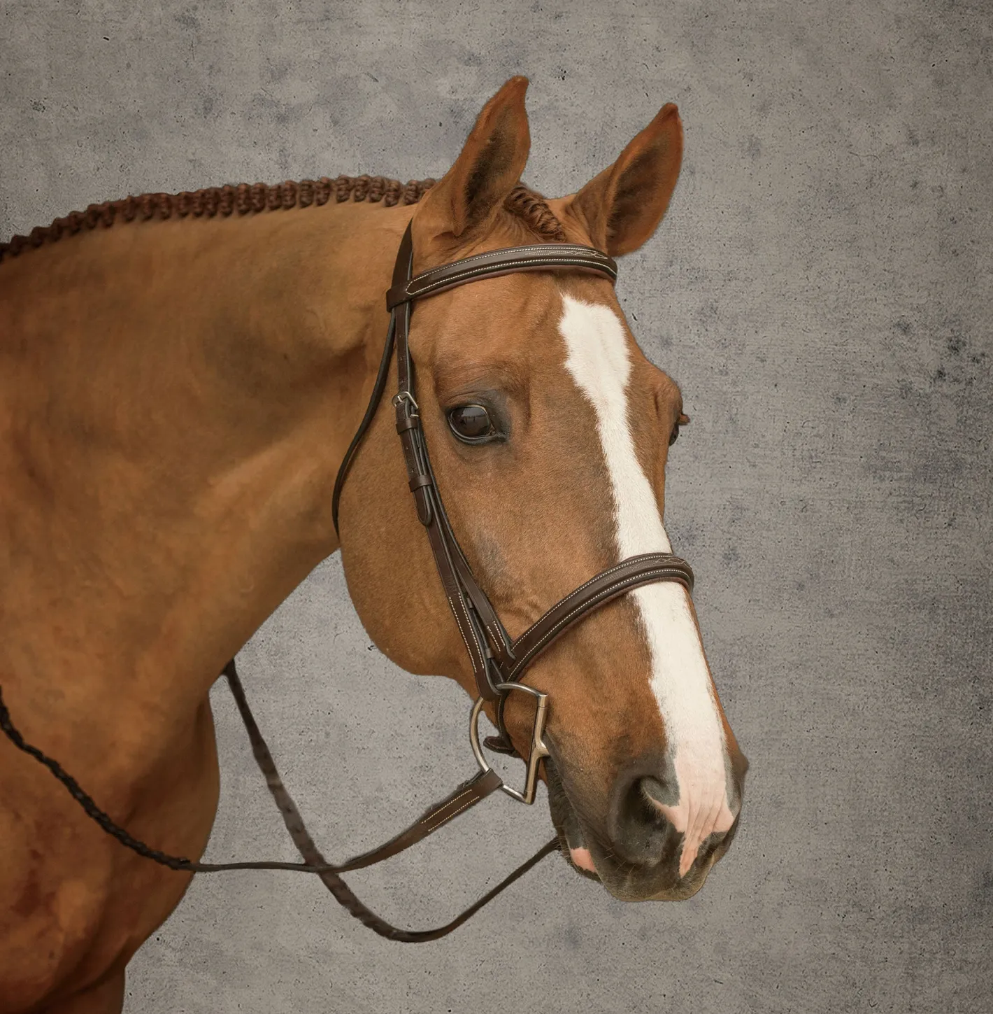 KINGS INTERNATIONAL Suffolk™ Hunter Bridle