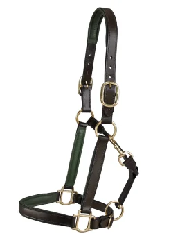 KINGS INTERNATIONAL Suffolk™ Lined Halter