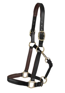 KINGS INTERNATIONAL Suffolk™ Lined Halter