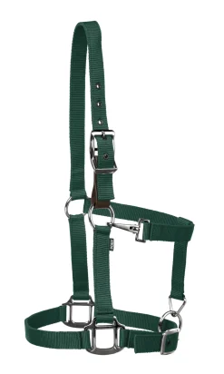TEXT HORSE Suffolk™ Nylon Breakaway Halter