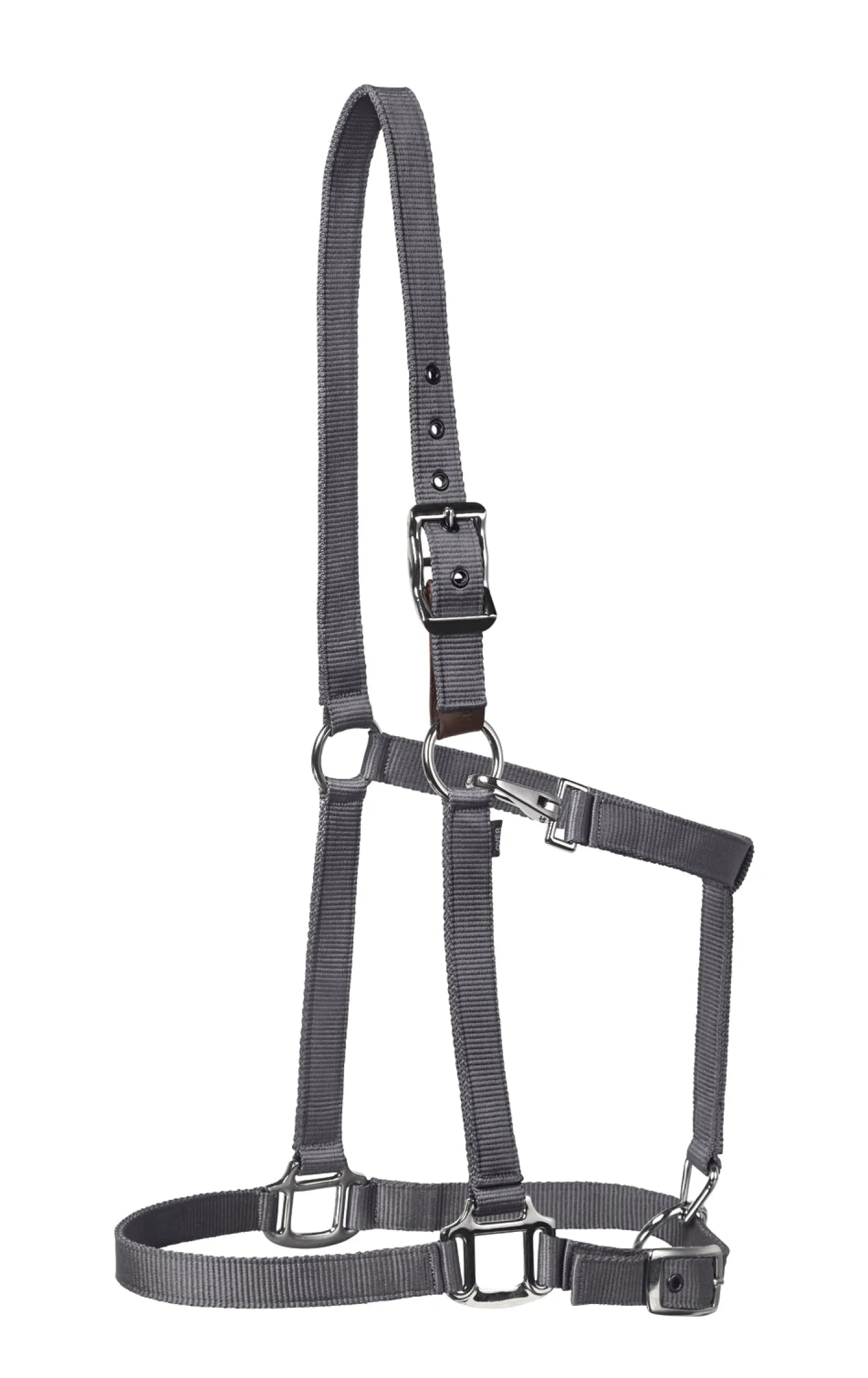 TEXT HORSE Suffolk™ Nylon Breakaway Halter