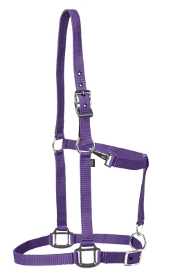 TEXT HORSE Suffolk™ Nylon Breakaway Halter