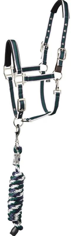 TEXT HORSE Suffolk™ Padded Striped Breakaway Halter & Lead