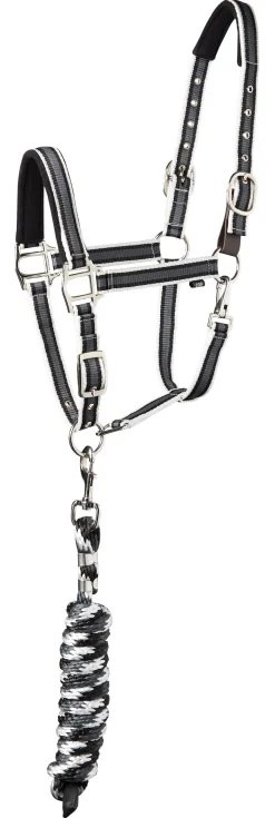 TEXT HORSE Suffolk™ Padded Striped Breakaway Halter & Lead
