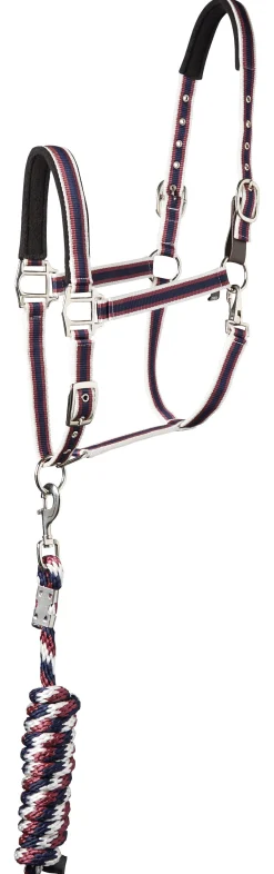 TEXT HORSE Suffolk™ Padded Striped Breakaway Halter & Lead