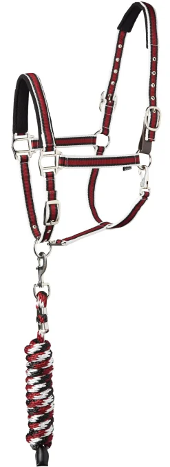 TEXT HORSE Suffolk™ Padded Striped Breakaway Halter & Lead