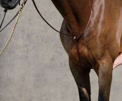 KINGS INTERNATIONAL Suffolk™ Raised Standing Martingale