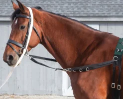 TEXT HORSE Suffolk™ Side Reins with Elastic