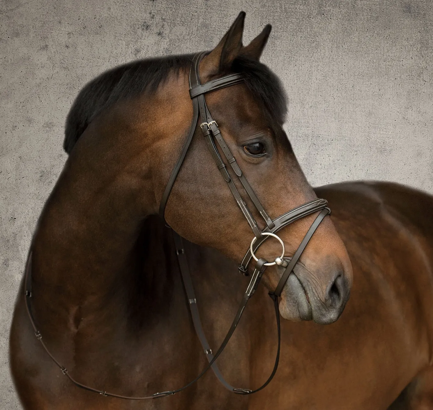 KINGS INTERNATIONAL Suffolk™ Single Crown Flash Bridle