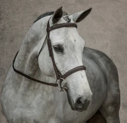 KINGS INTERNATIONAL Suffolk™ Single Crown Hunter Bridle