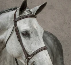 KINGS INTERNATIONAL Suffolk™ Single Crown Hunter Bridle