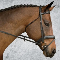 KINGS INTERNATIONAL Suffolk™ Single Crown Padded Dressage Bridle