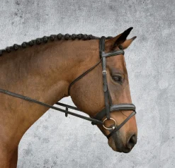 KINGS INTERNATIONAL Suffolk™ Single Crown Padded Dressage Bridle