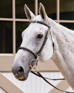 KINGS INTERNATIONAL Suffolk™ Training Bridle