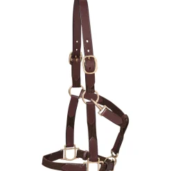 KINGS INTERNATIONAL Suffolk™ Web Halter