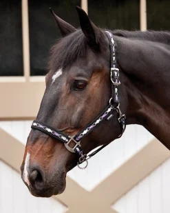 TEXT HORSE Suffolk™ Woven Argyle Breakaway Halter