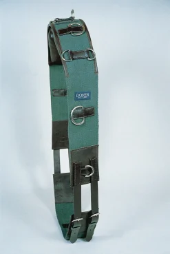 KINGS INTERNATIONAL Suffolk™ Classic Web Training Surcingle