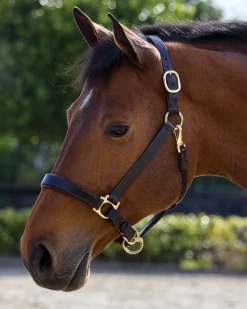 PUSHKAR INTL Suffolk™ Everyday Halter