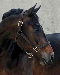PUSHKAR INTL Suffolk™ Palermo Triple-Stitched Halter
