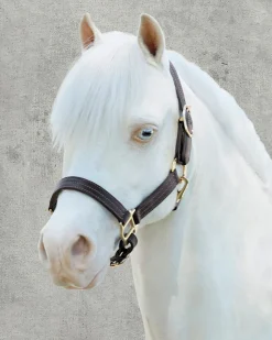 PUSHKAR INTL Suffolk™ Palermo Triple-Stitched Halter