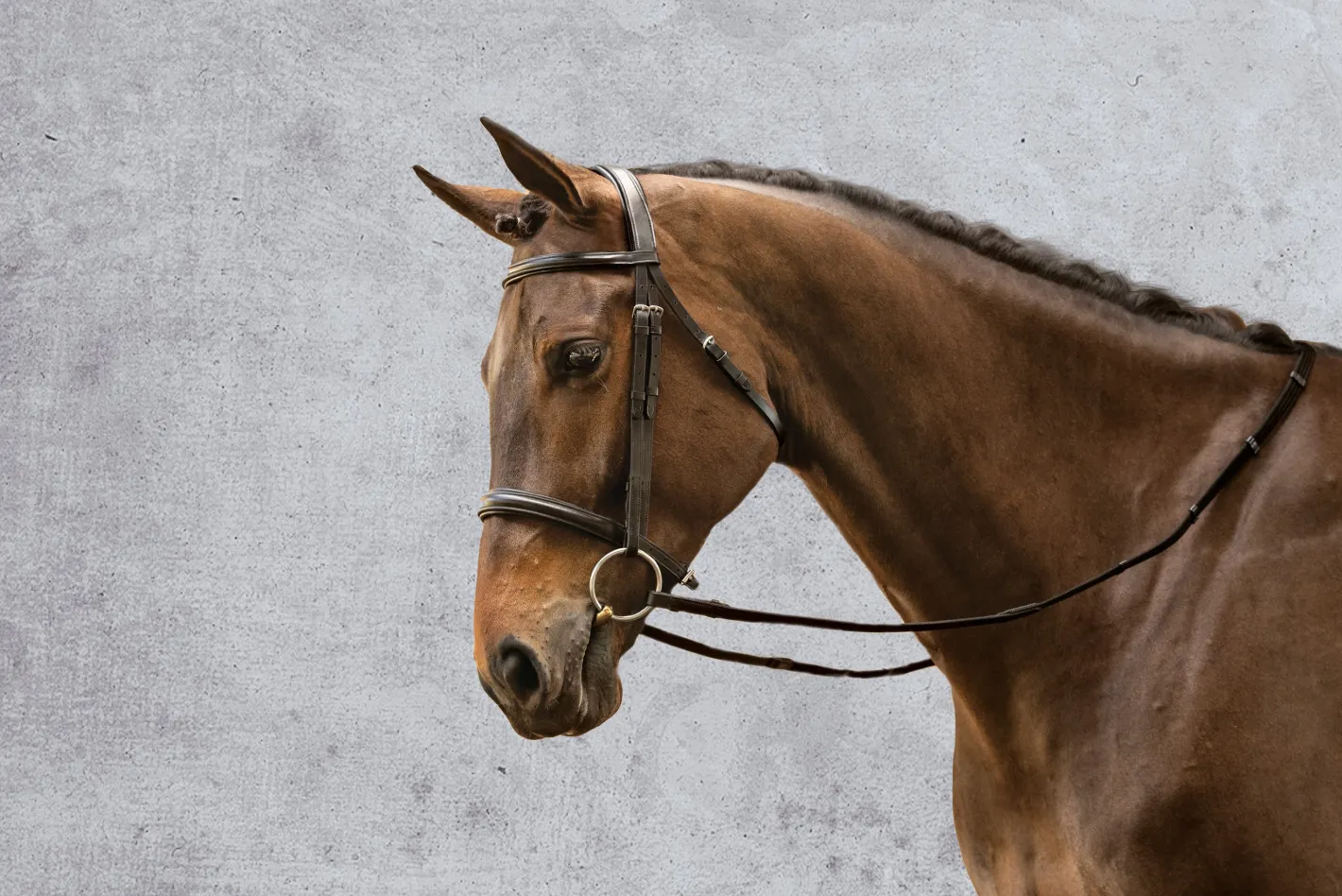 KINGS INTERNATIONAL Suffolk™ Single Crown Classic Dressage Bridle