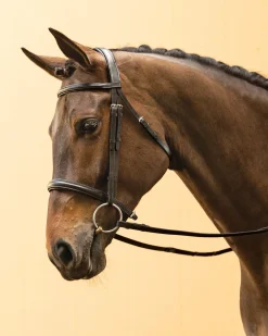 KINGS INTERNATIONAL Suffolk™ Single Crown Classic Dressage Bridle