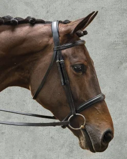 KINGS INTERNATIONAL Suffolk™ Single Crown Classic Dressage Bridle