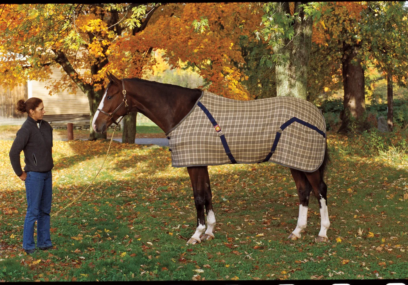 JACKS MFG The Original Baker® Stable Blanket