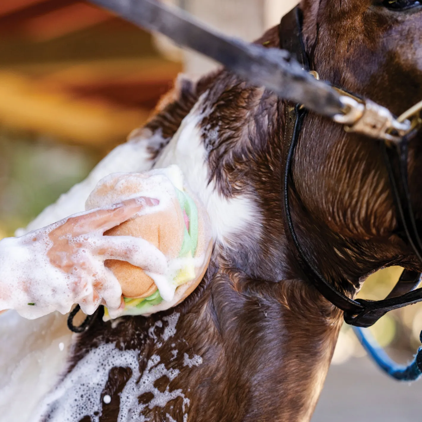 DREAMERS N SCHEMERS The Tack Hack Burger Body Sponge