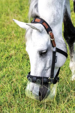 THINLINE ® Flexible Filly Slow Feed Grazing Muzzle 2.5+cm