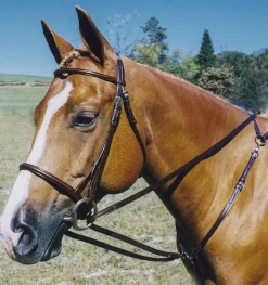 TORY LEATHER Company Breastplate Draw Reins