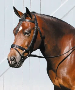 TORY LEATHER Company Deluxe Padded Dressage Bridle with Buckle Bit Ends