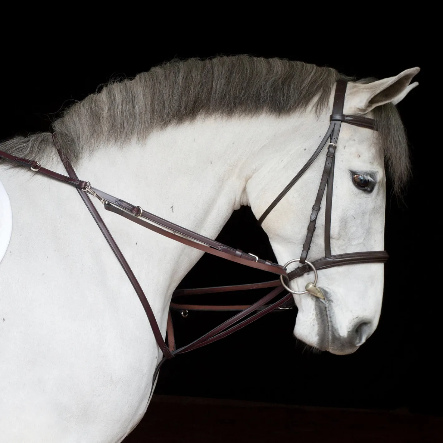 TORY LEATHER Company German Martingale Rein Set