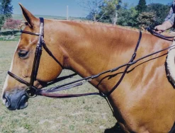 TORY LEATHER Company German Martingale Rein Set