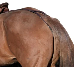 TORY LEATHER Company Horse Crupper/Aluminum Plate