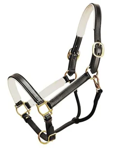 TORY LEATHER Company Padded Leather Halter