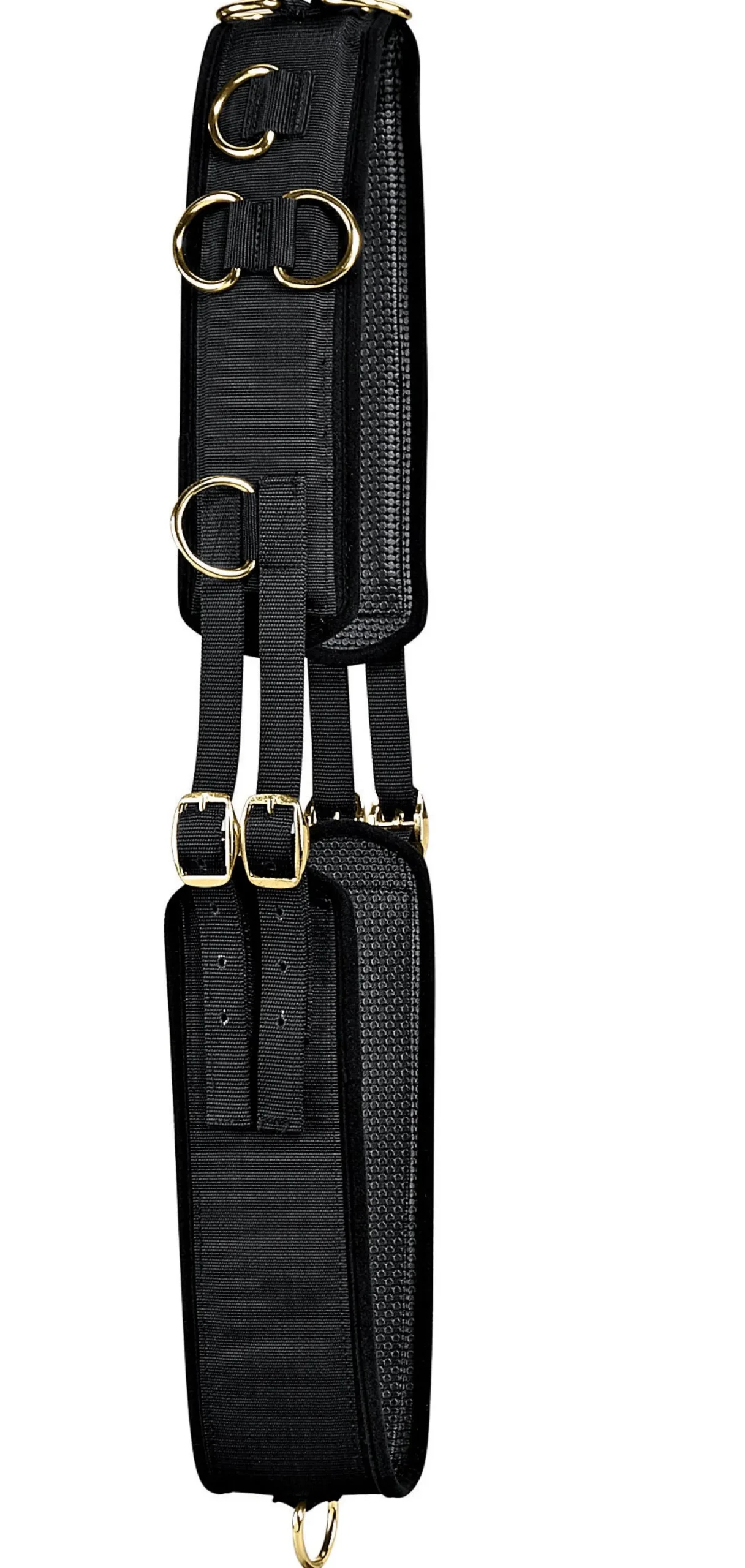 TORY LEATHER Tory Neoprene Training Surcingle