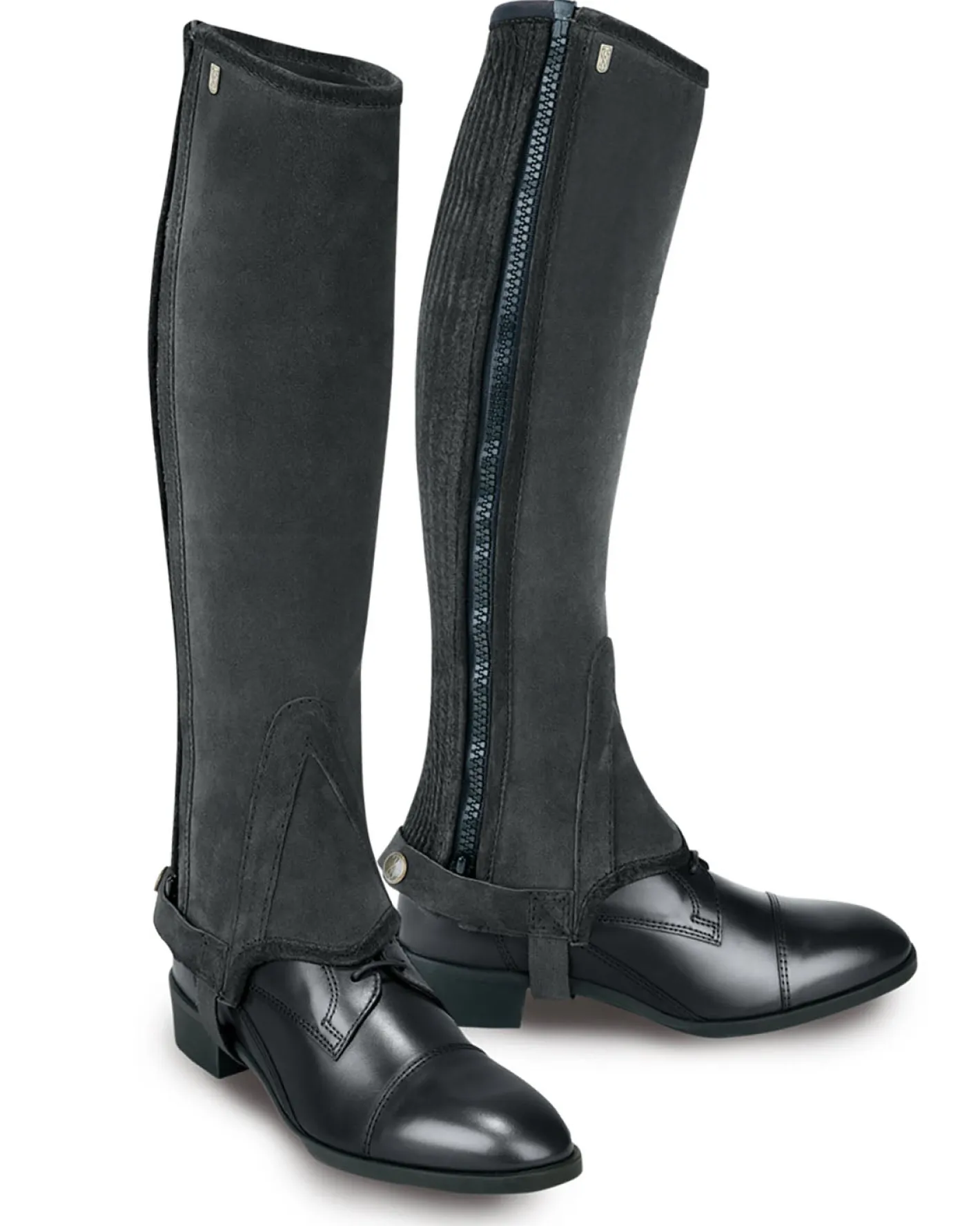 PASSIONATE HORSE LTD Tredstep Ireland™ Half Chaps