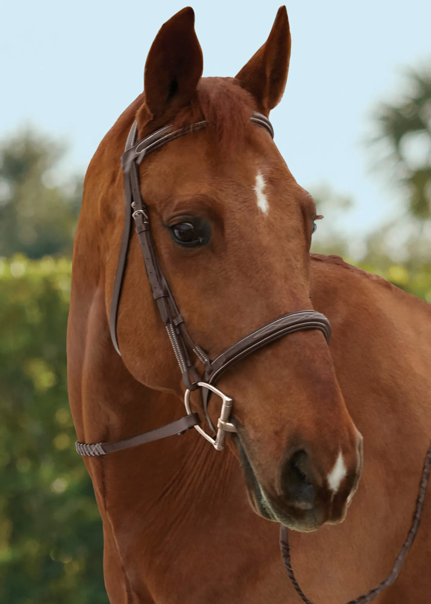 KINGS INTERNATIONAL TRU-Fit™ Build-A-Bridle™ Fancy-Stitched Hunter Noseband