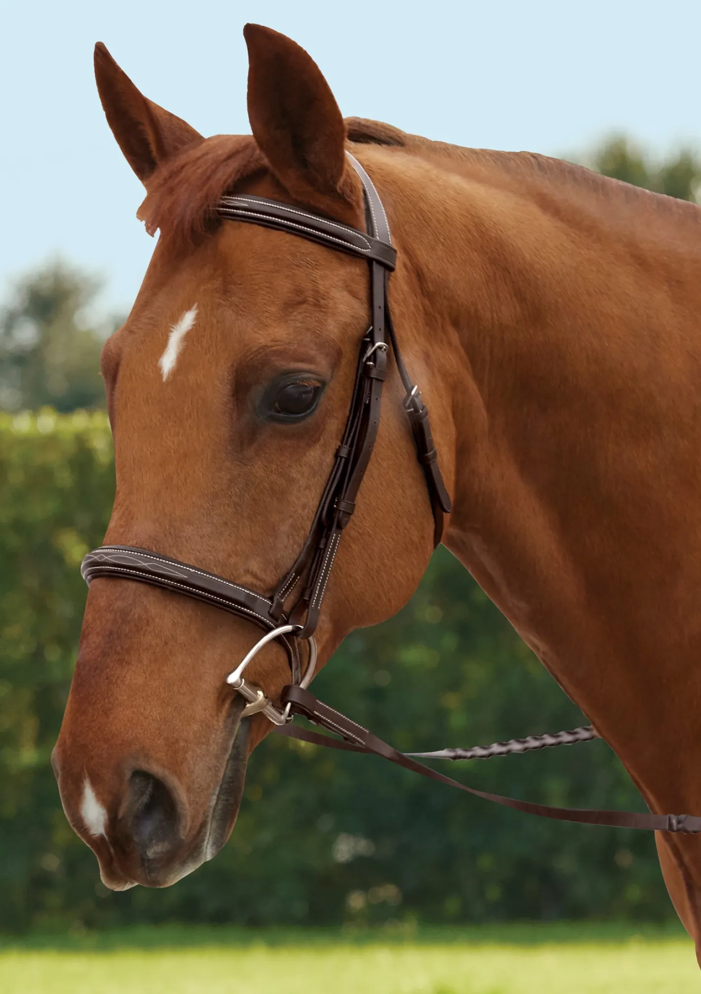 KINGS INTERNATIONAL TRU-Fit™ Build-A-Bridle™ Fancy-Stitched Hunter Noseband