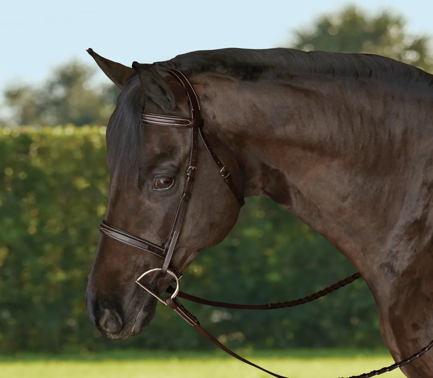 KINGS INTERNATIONAL TRU-Fit™ Build-A-Bridle™ Fancy-Stitched Hunter Noseband
