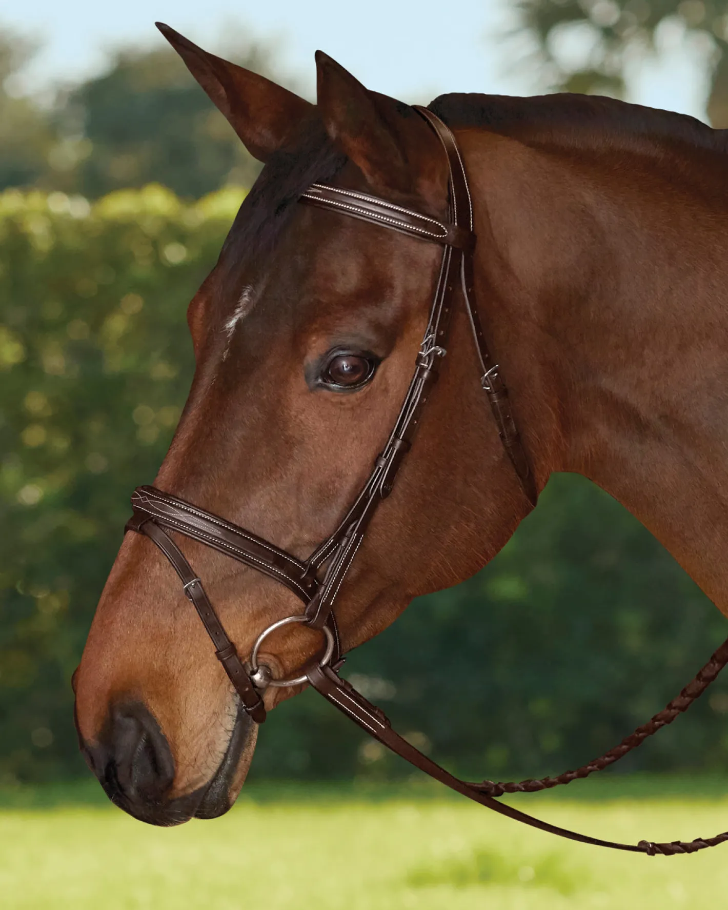 KINGS INTERNATIONAL TRU-Fit™ Build-A-Bridle™ Flash Noseband