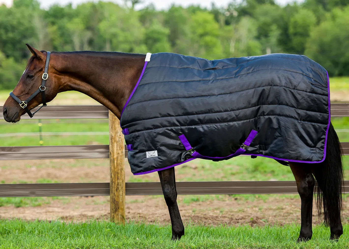 JPC EQUESTRIAN TuffRider® Kozy Komfort Stable Blanket