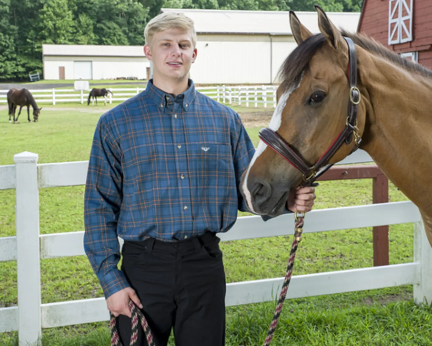 JPC EQUESTRIAN TuffRider® Men’s Voltage Print Work Shirt