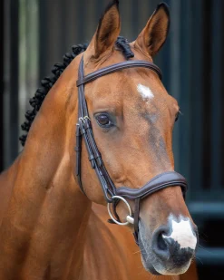 SHIRES EQUESTRIAN Velociti Lusso Ergonomic Flash Bridle