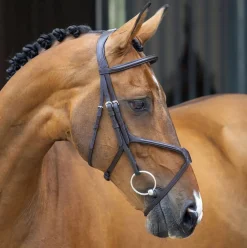 SHIRES EQUESTRIAN Velociti Lusso Grackle Bridle